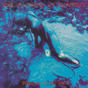 Flowers of Romance: Pleasure & The Pain