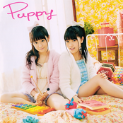 Puppy