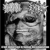 A Full Immersion in Human Decomposition