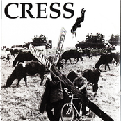 Same Shit, Different Arse.