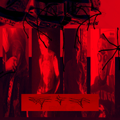 Perfect Violation (The Empire Line RemixXx)