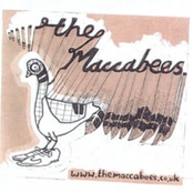 Picnic Song by The Maccabees