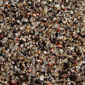 Four Pieces [Homophoni]