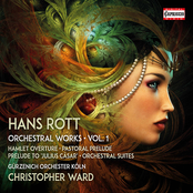 Rott: Complete Orchestral Works, Vol.1