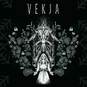 VEKJA