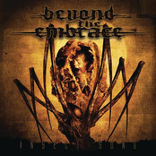 Insect Song by Beyond The Embrace