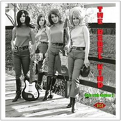The Rebel Kind: Girls With Guitars 3