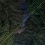 Living With Living Dead