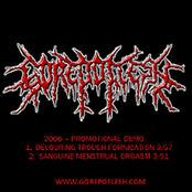 2006 - Promotional Demo