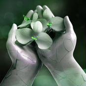 Picking Up the Pieces