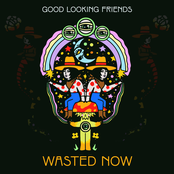 Good Looking Friends: Wasted Now