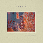 La vida feliz de los cansados