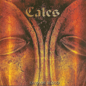 Groves Of Infinite Reminiscences by Cales