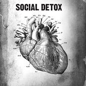 social detox