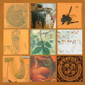 Evidence by Califone