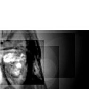 L'ombre : Exclusive Unreleased Tracks