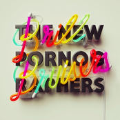 Marching Orders by The New Pornographers