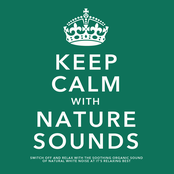 Keep Calm With Nature Sounds: Switch Off and Relax With the Soothing Sound of Natural White Noise At It's Relaxing Best