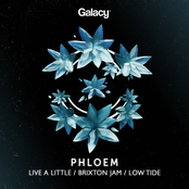 Phloem: Live A Little