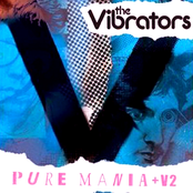 Shake Some Action by The Vibrators
