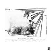 Field of Possibilities, Pt. 4