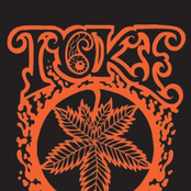 Toke: (Orange)