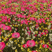 Heaven is a place, 2024