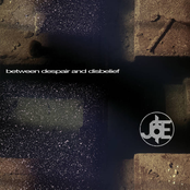 Between Despair And Disbelief