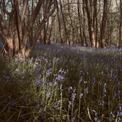 through the riverbeds