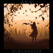 Cloudgazer