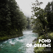 Pond Of Dreams