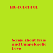 Songs About True and Unapologetic Love
