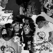 Colombinha de Pirata