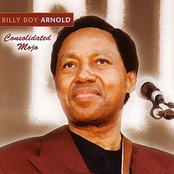 Low Down Blues by Billy Boy Arnold