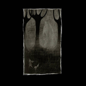 Marjory Stewart-Baxter