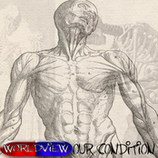 Worldview: Our Condition