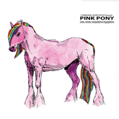 Pink Pony: Covers, Remixes, Manipulations and Regurgitations