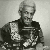 little jimmy reed