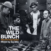 The Wild Bunch - Story Of A Sound System Mixed by DJ Milo