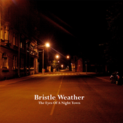 The Eyes Of A Night Town