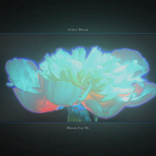 Bloom For Me
