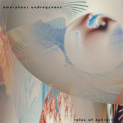 In Mind by Amorphous Androgynous