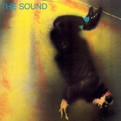 You've Got A Way by The Sound