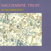 Words Left Unspoken by Saccharine Trust