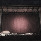 Possum Belly: Not Crazy