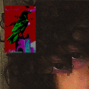 A sociedade secreta dos olhos mágicos