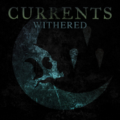 Withered - Single