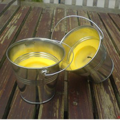 Exploration (Cancelled)