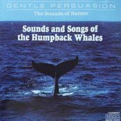 Sound and Songs of the Humpback Whales