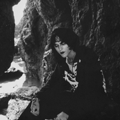 Everybody Just Wants To